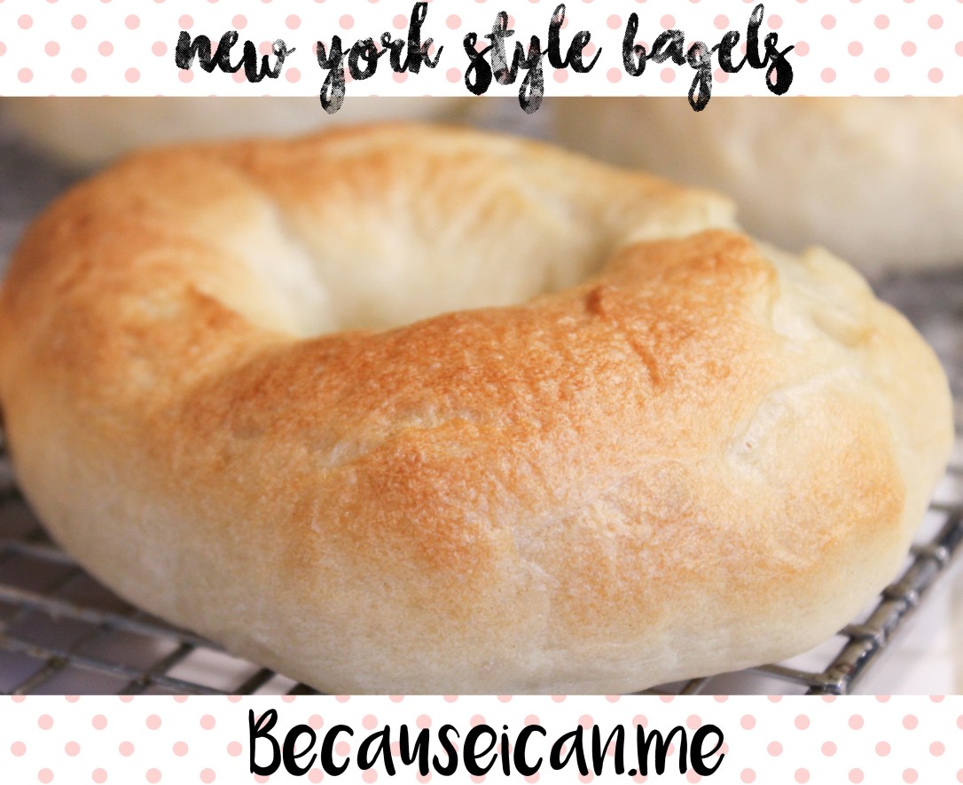 bagels 10new york bagels.jpg