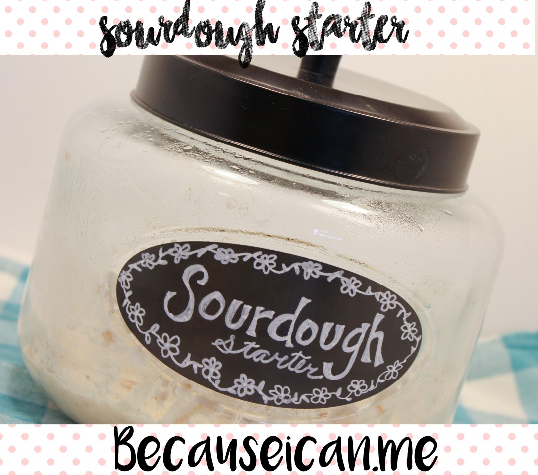 sourdough starter.jpg