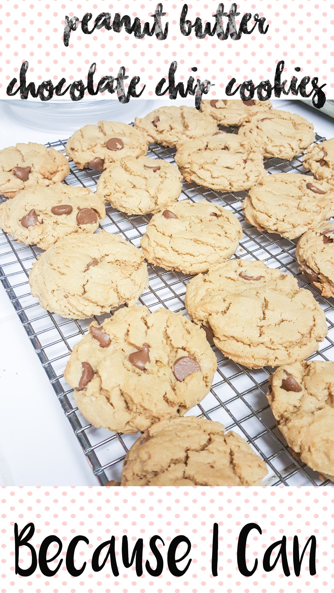 pb choc chip cookies 2 - Copy